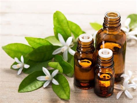 Top 10 Most Expensive Essential Oils In The World