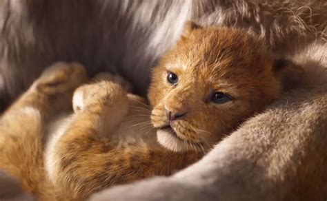 Le Roi Lion Streaming Vf Complet Gratuit - Le Roi Lion (2019) streaming VF