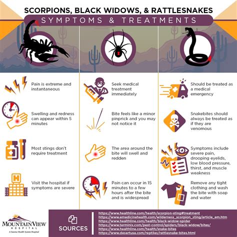 Black Widow Bite Timeline