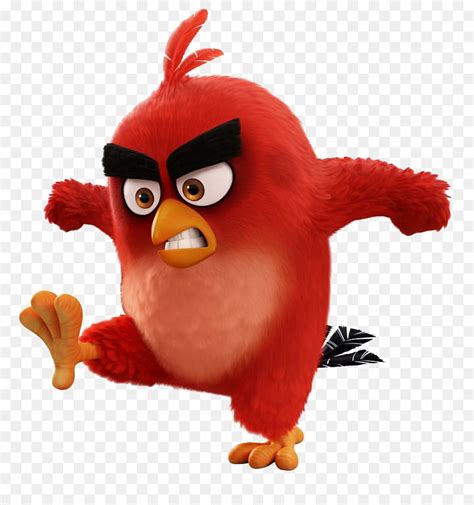 Angry Birds Movie Png 20 Free Cliparts Download Images On Clipground 2024