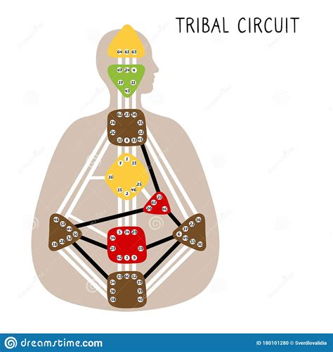 Create your free human design chart. Tribal Circuitry. Human Design BodyGraph. Hand Drawn ...