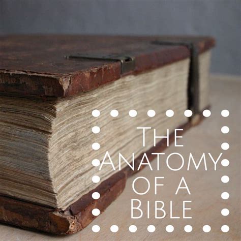 The Anatomy Of A Bible The Old And New And Every Book Inbetween
