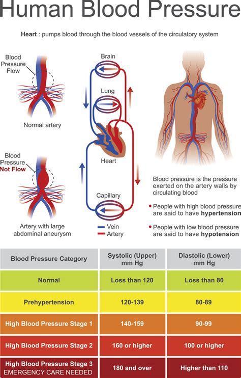 Blood Pressure Assessment Medictests