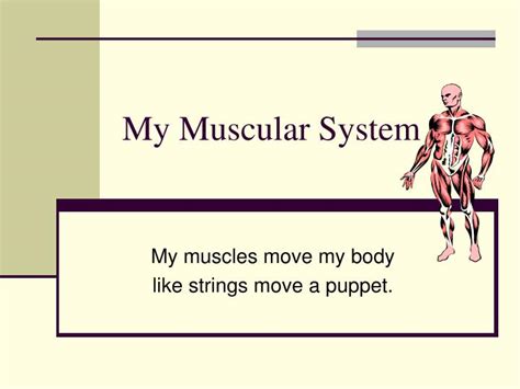Ppt My Muscular System Powerpoint Presentation Free Download Id