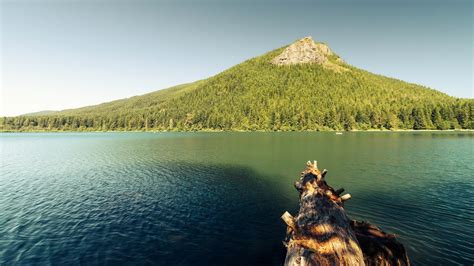 Search hd desktop wallpapers and download them for free. 47+ New Desktop Wallpaper Everyday on WallpaperSafari