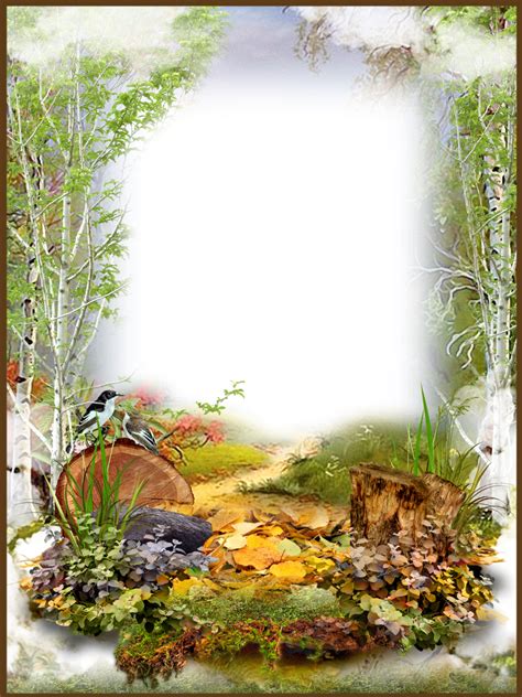 Photo Frame Nature Png Free Frame Png