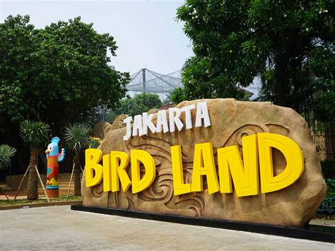 Info Harga Tiket Masuk Jakarta Bird Land Ancol Blog