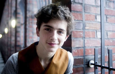 Pin By Lina On плачь In 2020 Timothee Chalamet Timmy T Beautiful Boys