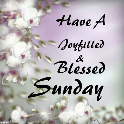 Have A Joyfilled And Blessed Sunday Pictures Photos And Images For
