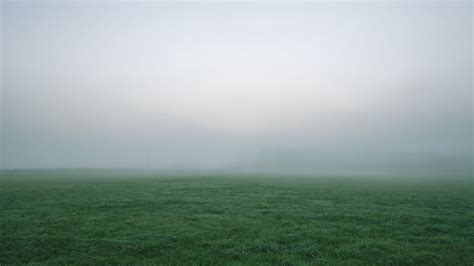Download Wallpaper 1920x1080 Grass Fog Thick Impenetrable Field