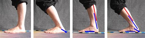 Ankle Mobility Why Is It Important Symmetry Physical Therapy Miami