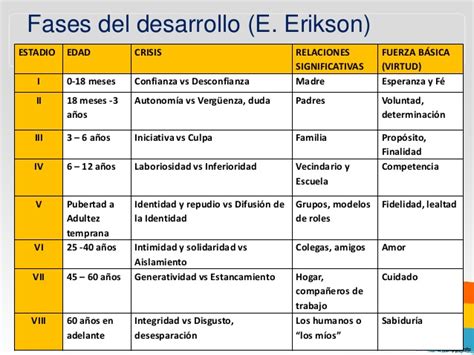 Neurorespuestas Etapas Del Desarrollo Psicosocial Erik Erikson