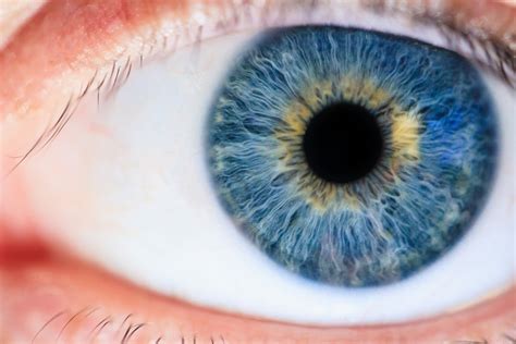 All About The Structure Of The Human Eye Optimax