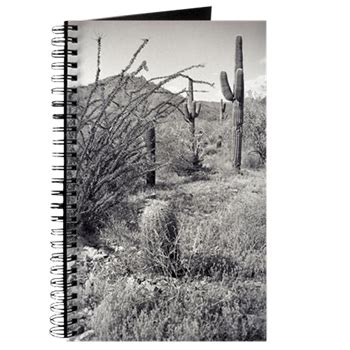Cowboy Garden Desert Journal | Desert landscaping, Sonoran desert, Landscape