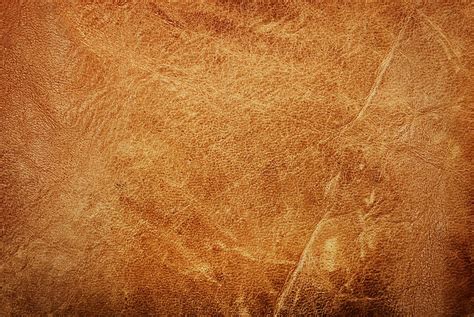 Hd Wallpaper Brown Leather Texture Skin Backgrounds Textured