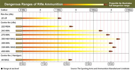 Ammo And Gun Collector Rifle Caliber And Shotgun Load Dangerous Range