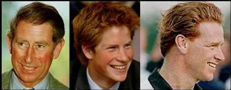 With their mother, they engaged in a variety of. Prince Harry | Men We Hate | Royals | Rug Or Real