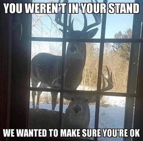Pin By Lillianjoe On Hunting Quotes In 2020 Funny Hunting Pics
