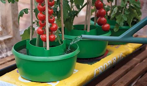 Uk Self Watering Tomato Planters