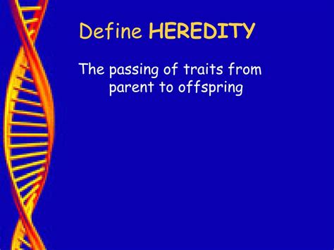 Ppt Unit Genetics Heredity Powerpoint Presentation Hot Sex Picture