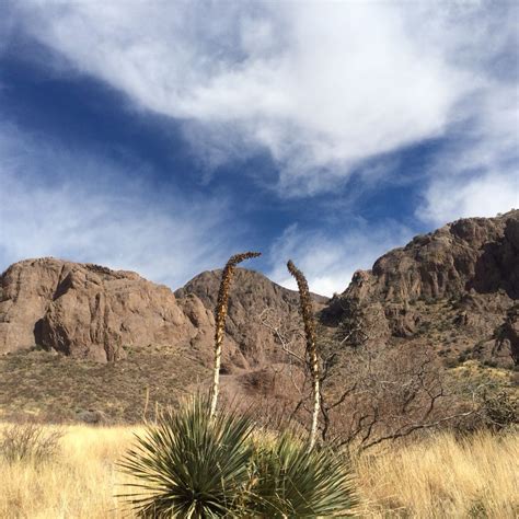 Three awesome slot canyon hikes in new mexico. Pin on Special Places