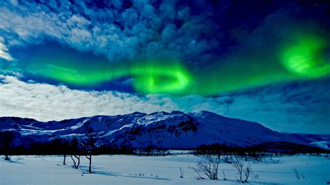 Tromso Northern Lights Norway Backiee