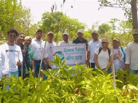 Building A Green World With Green Yatra Answerconnects July Tree
