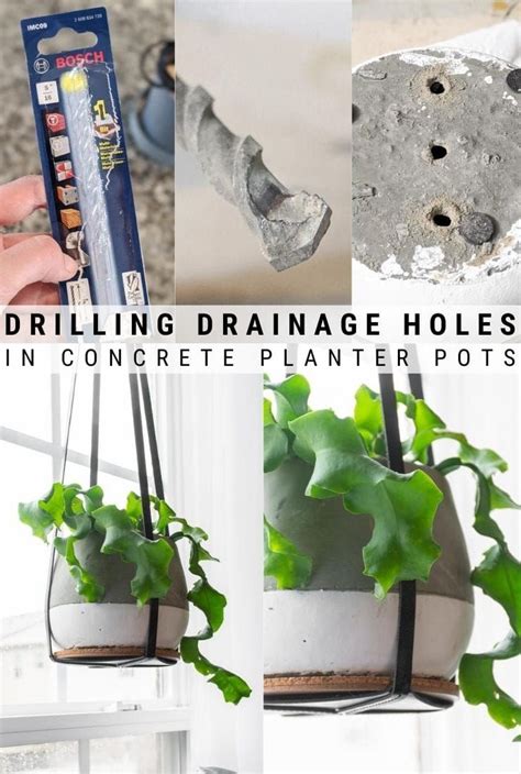 Drill Drainage Holes In A Concrete Pot Everything You Need To Know