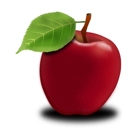 gambar ilustrasi buah apel koleksi gambar hd