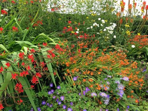 Flower Garden Plans in 2020 | Flower garden layouts, Flower garden plans, Flower garden design