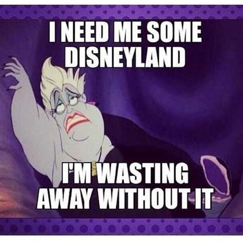 24 Hilarious Memes Only Disney Park Fans Will Understand