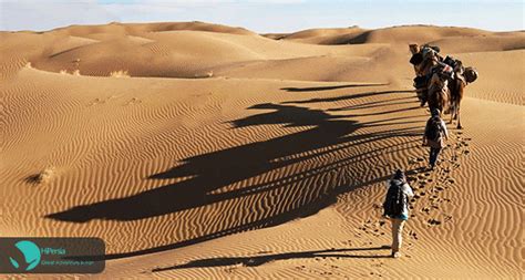 The camelus bactrianus is a double humped bactrian camel which inhabits the gobi desert. Camel Riding Tour - Iran Desert | Updated: MAY, 2020
