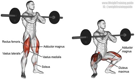Zercher Squat Exercise Instructions And Video Weight Training Guide