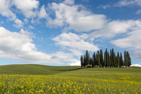 Rolling Hills And Winding Roads In Tuscany Stock Image Image Of