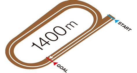 レース紹介｜兵庫ゴールドトロフィー 2022年｜ダートグレード競走特設サイト
