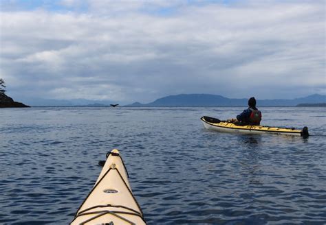 Ketchikan Sea Kayak Eco Tour Alaska Shore Excursions
