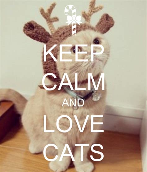 Keep Calm And Love Cats Keep Calm Posters Keep Calm Quotes Puppies