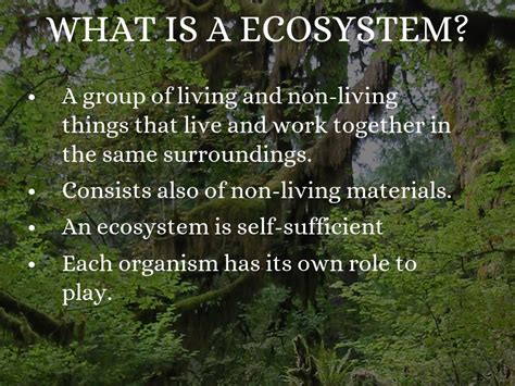 Classification is a prerequisite to structuring knowledge and developing our understanding of the natural world. Habitats And Ecosystems by Riley Yew