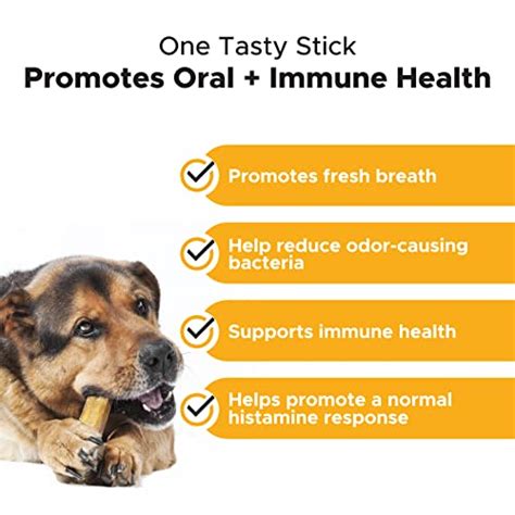 Pet Honesty Allergy Support Fresh Sticks Dental Sticks For Dogs