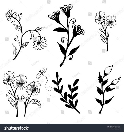 Collection Hand Drawn Flowers Plants Monochrome Stock Vector Royalty