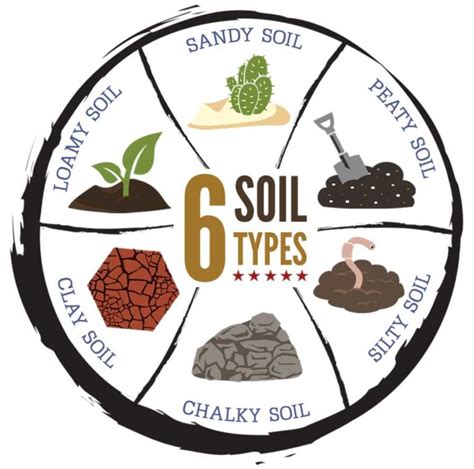 How Soil Type Affects Land Values Growing Produce
