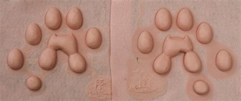 Diy Silicone Stoat Ferret Weasel Paw Pads For Costumes And Etsy