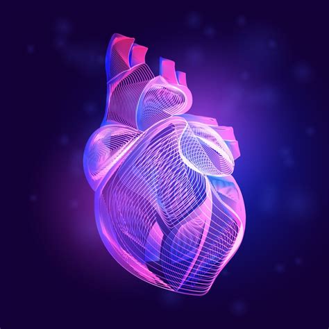 Premium Vector Human Heart Medical Structure Outline Of