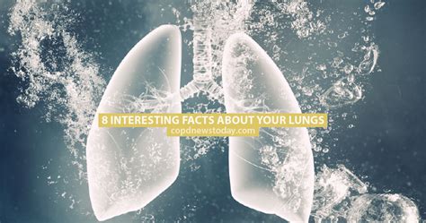 8 Interesting Facts About Your Lungs Copd News Today