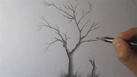 Pencil Simple Tree Branch Drawing ~ Drawing