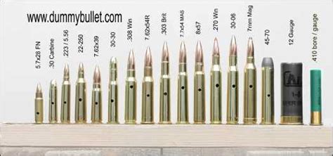 A statistical comparison also means that you must delve into each cartridge's attributes, identifying where each round has an advantage over its counterpart. Bullet Display