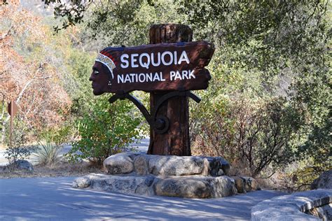 Les incontournables à voir au Séquoia National Park - blog