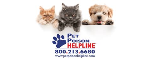Pet Poison Prevention Week 19th 25th Amc Blog