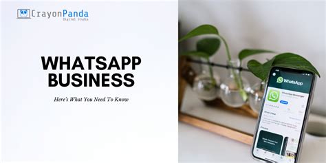 Whatsapp Business Heres What You Need To Know Crayonpanda