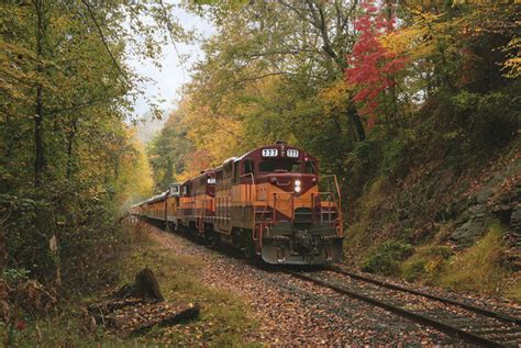 Maybe you would like to learn more about one of these? Luxury Cabin Rentals Near Nantahala Outdoor Center ...